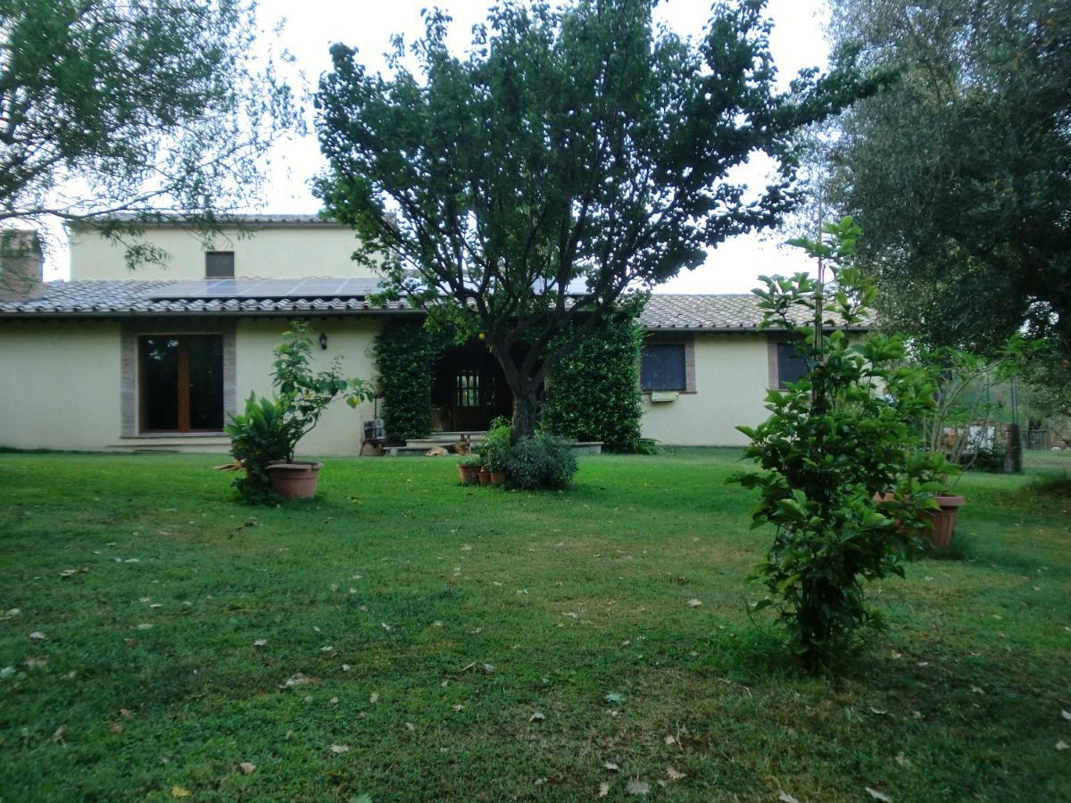 I Massi Bed & Breakfast San Michele in Teverina Bagian luar foto