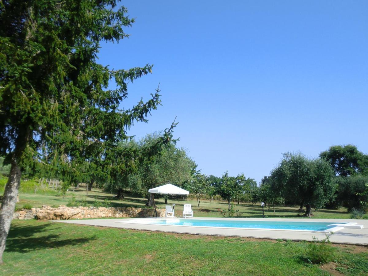 I Massi Bed & Breakfast San Michele in Teverina Bagian luar foto