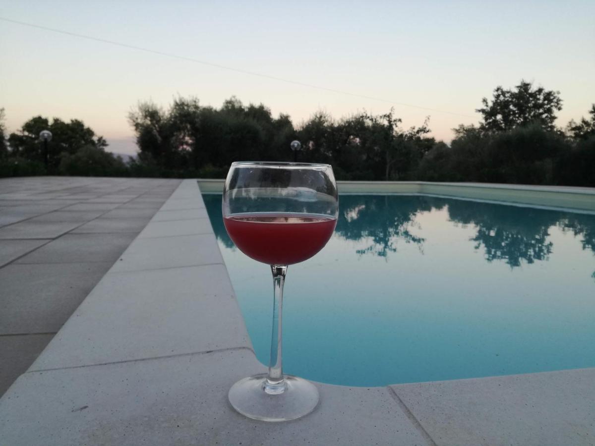 I Massi Bed & Breakfast San Michele in Teverina Bagian luar foto