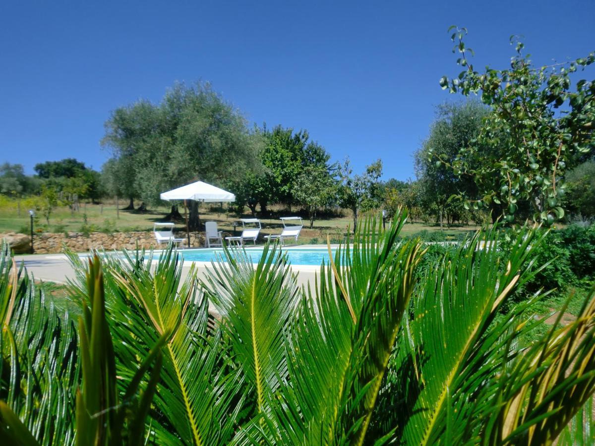 I Massi Bed & Breakfast San Michele in Teverina Bagian luar foto