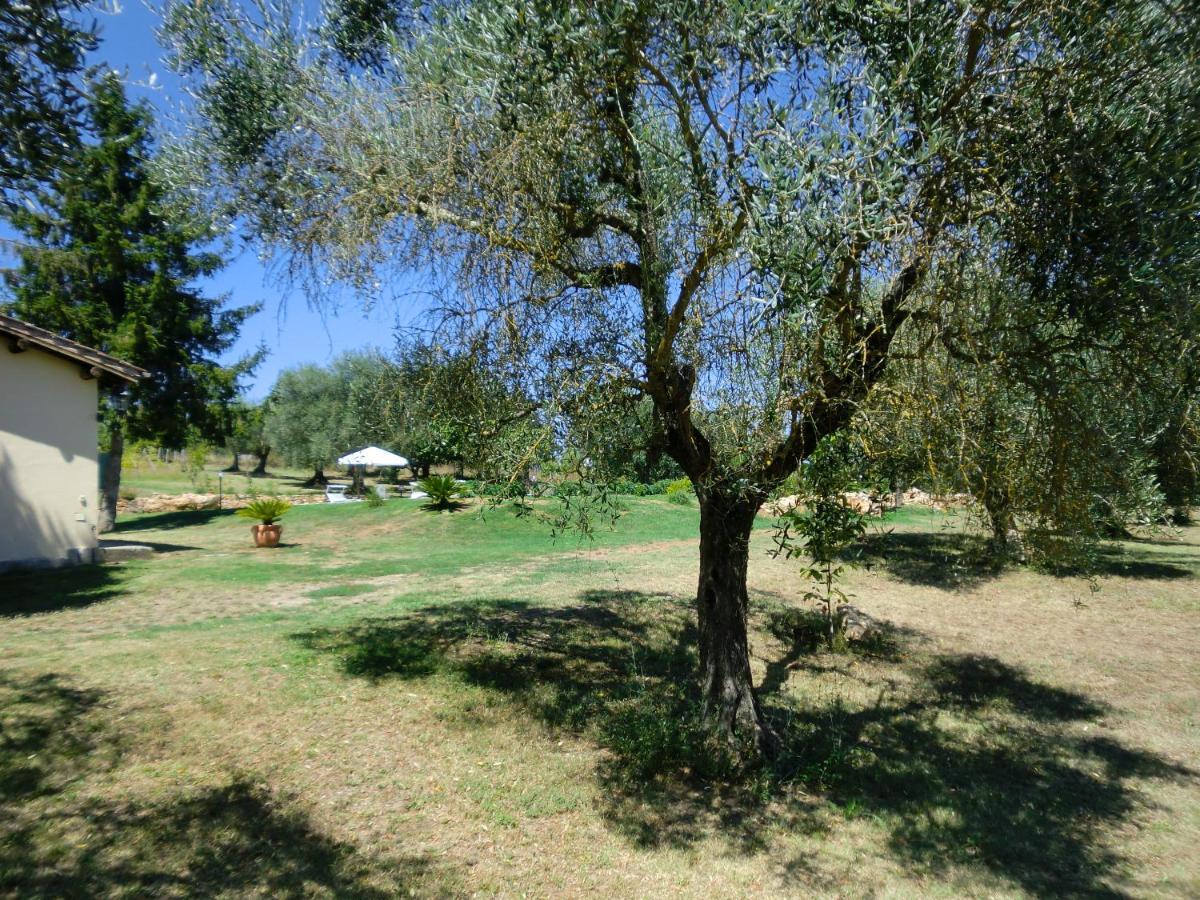 I Massi Bed & Breakfast San Michele in Teverina Bagian luar foto
