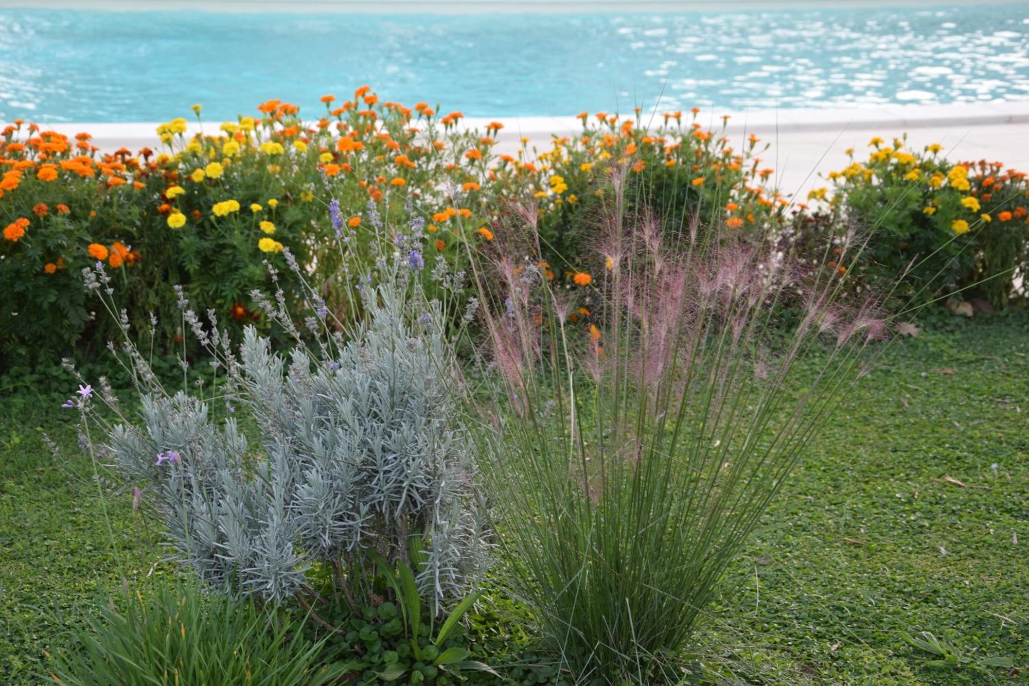 I Massi Bed & Breakfast San Michele in Teverina Bagian luar foto