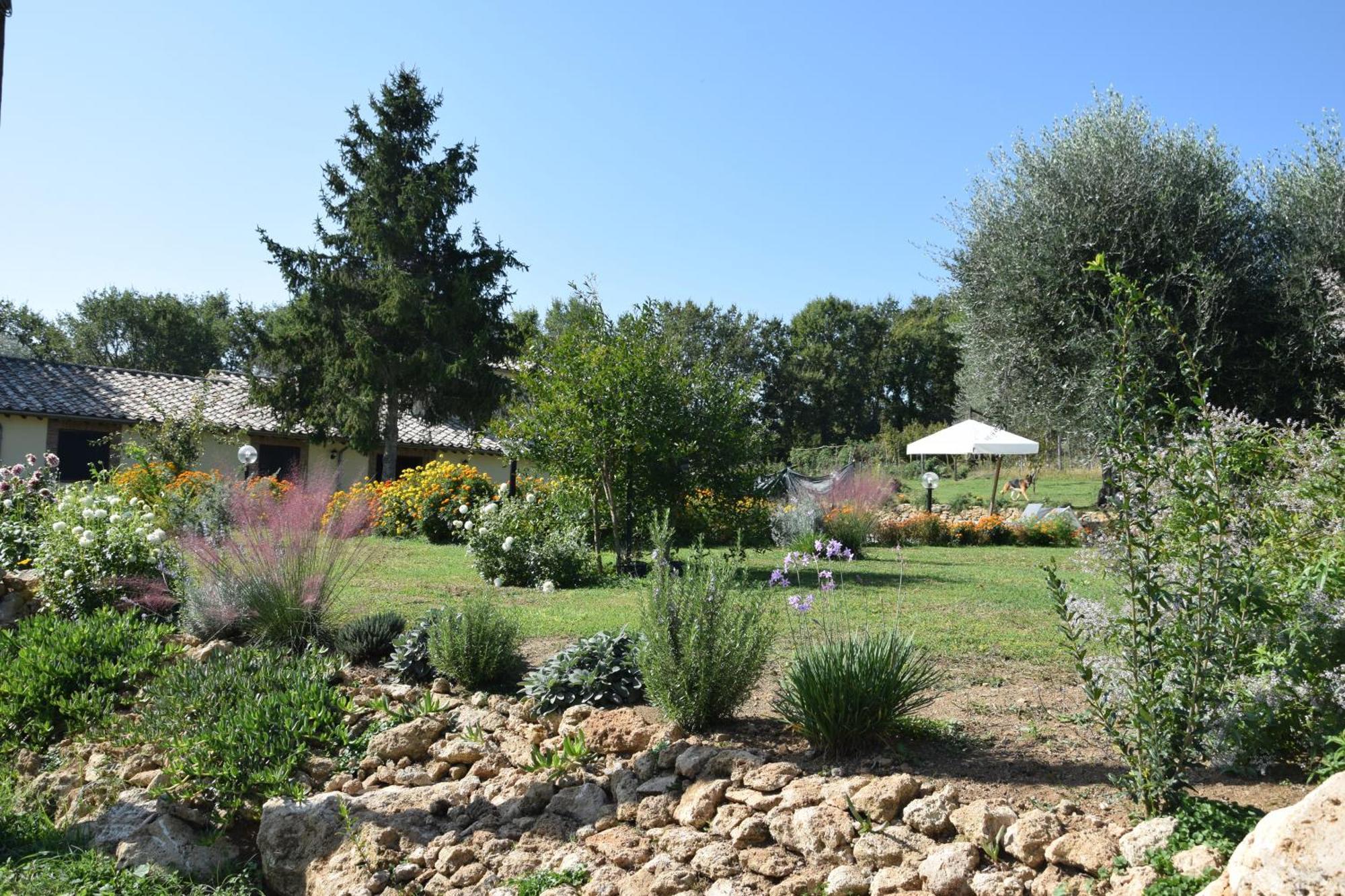 I Massi Bed & Breakfast San Michele in Teverina Bagian luar foto